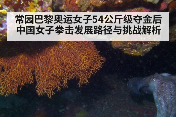 常园巴黎奥运女子54公斤级夺金后中国女子拳击发展路径与挑战解析